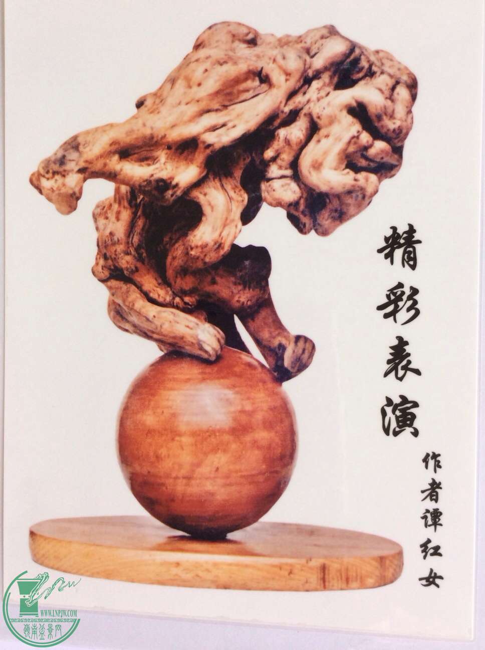 image.jpg