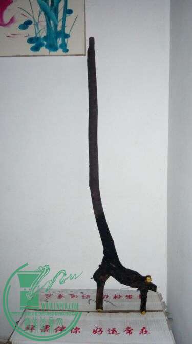 A_UBGMY([U8EKQ5XYF%SC69S.jpg