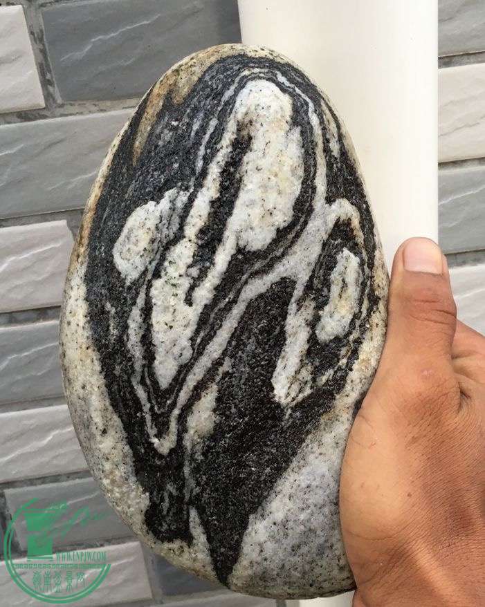 image.jpeg