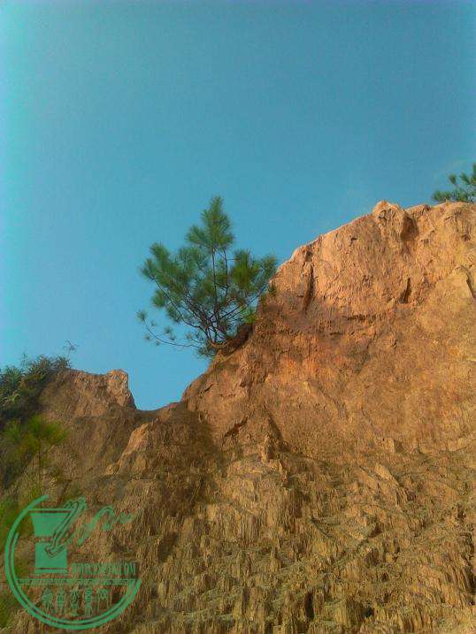  YP20151030160428.jpeg