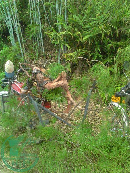  YP20151031165126.jpeg