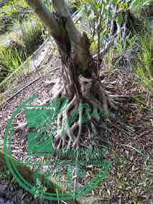 IMG20150927162236_.jpg