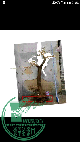 Screenshot_2015-11-02-01-26-51.png