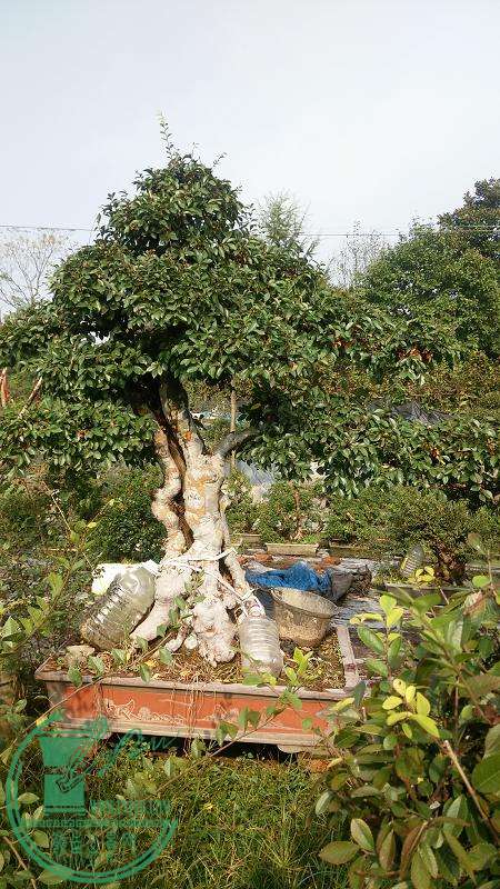 ͼƬղIMG_20151102_091744.jpg