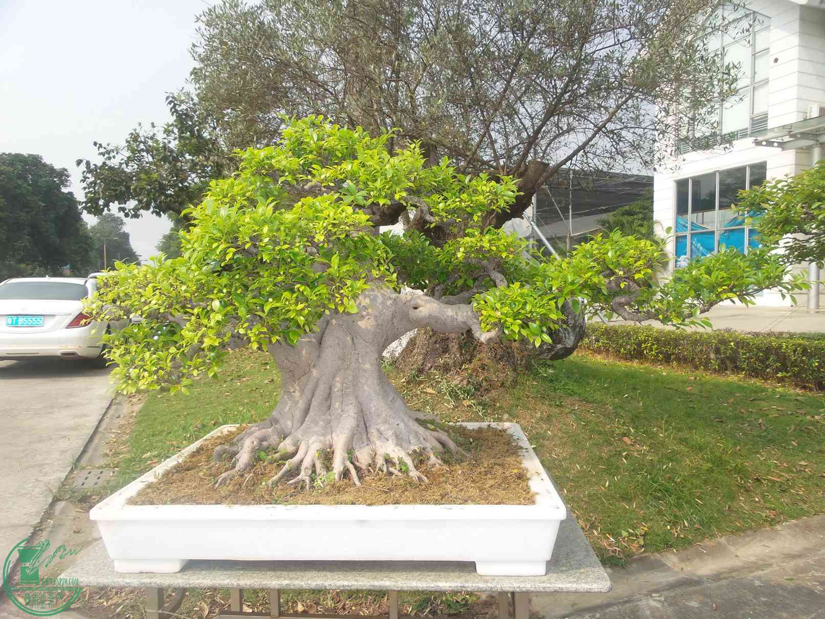 20151024_101849.jpg