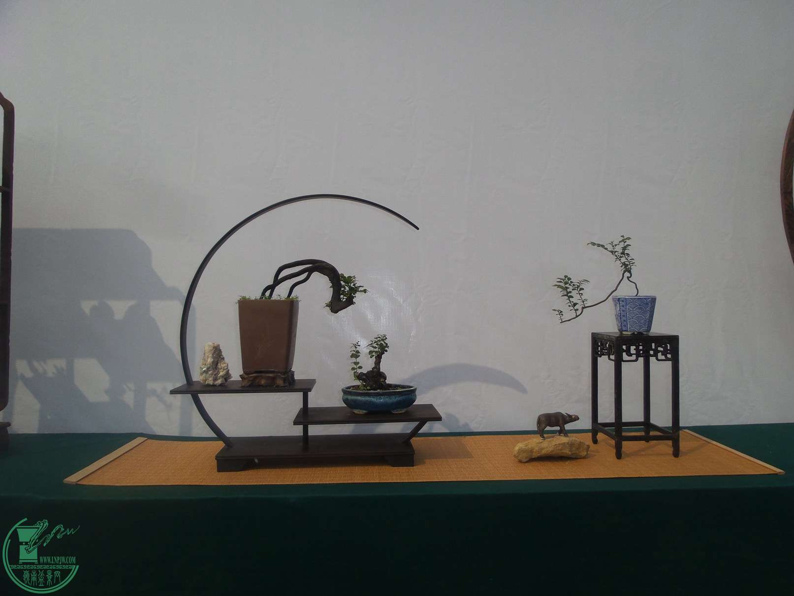 20151024_101956.jpg