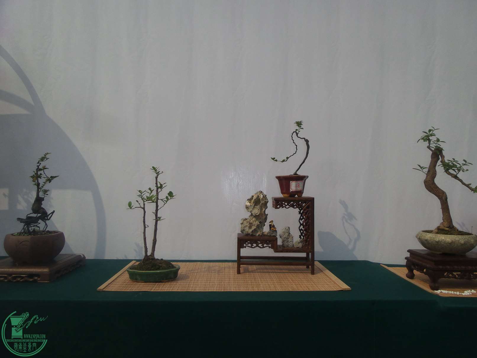 20151024_102006.jpg