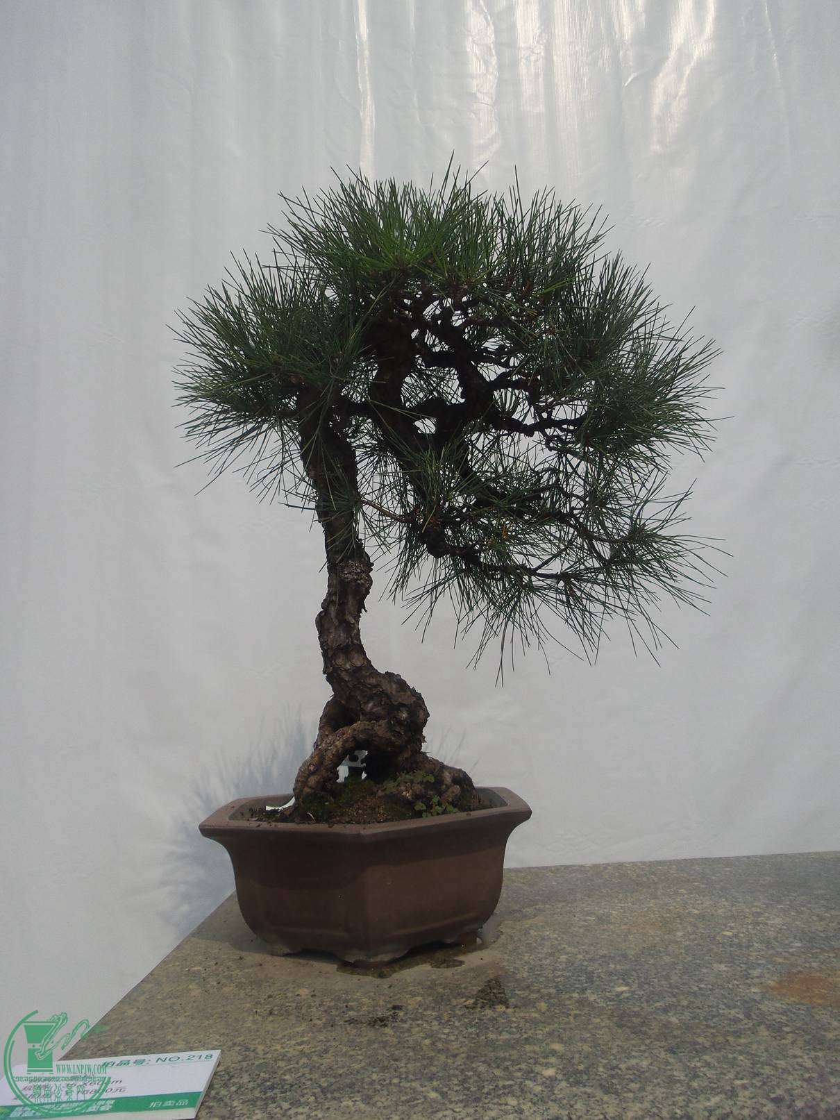 20151024_102235.jpg