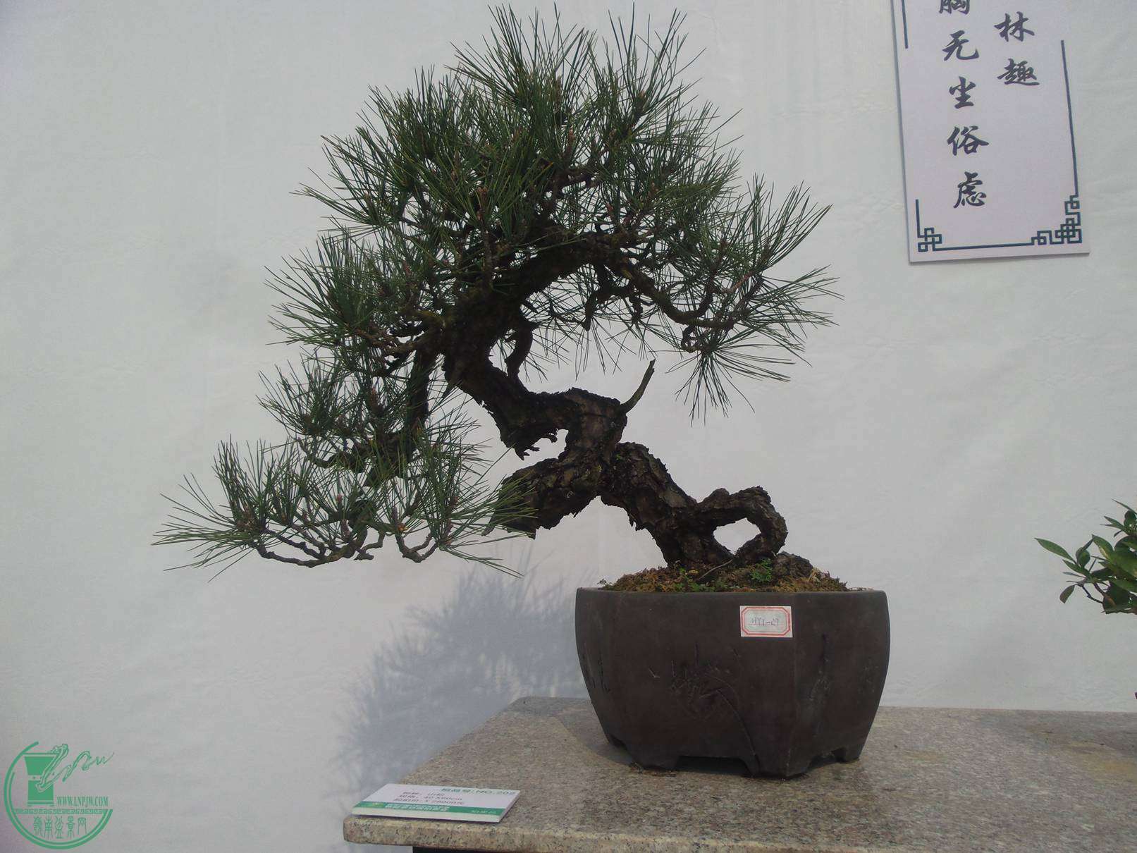 20151024_102246.jpg