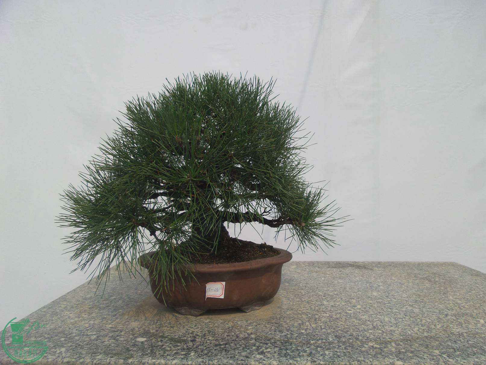 20151024_102305.jpg