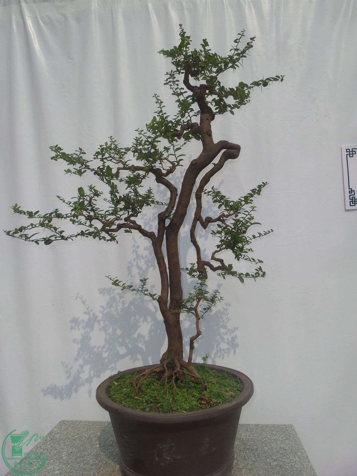 20151024_102324.jpg