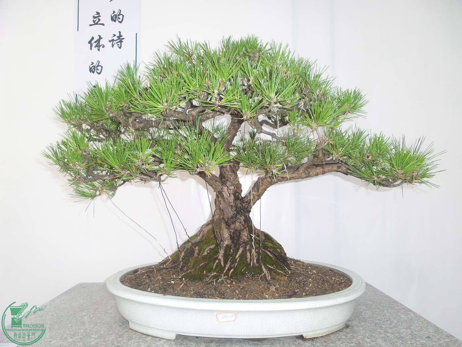 20151024_102736.jpg