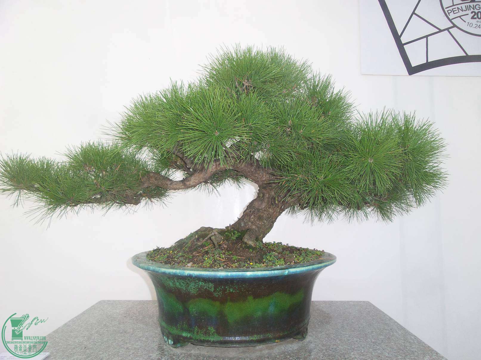 20151024_102745.jpg