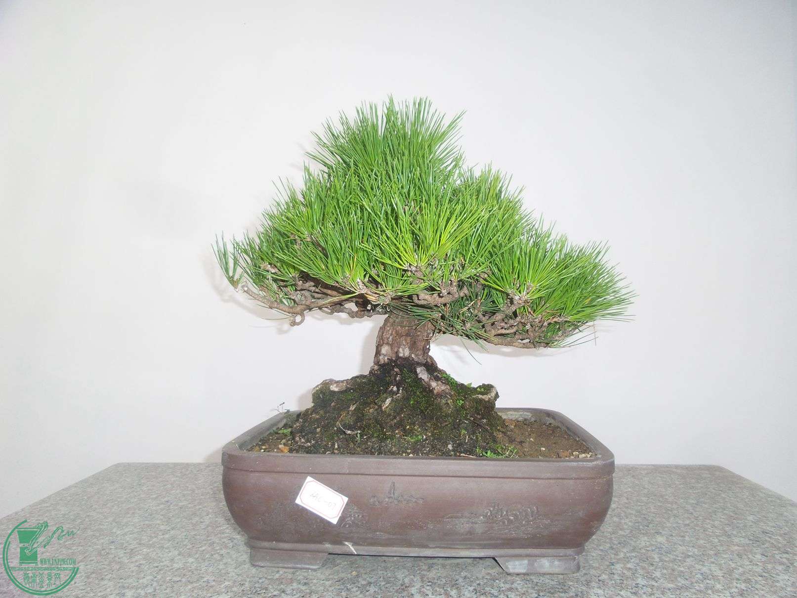 20151024_102755.jpg