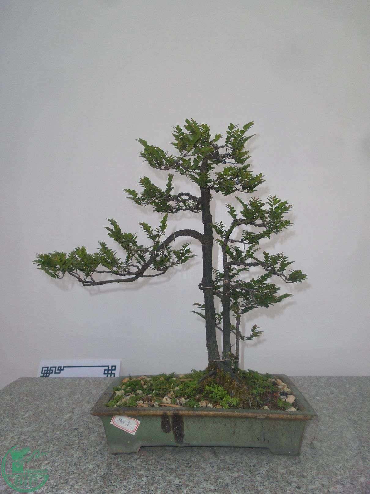20151024_102801.jpg