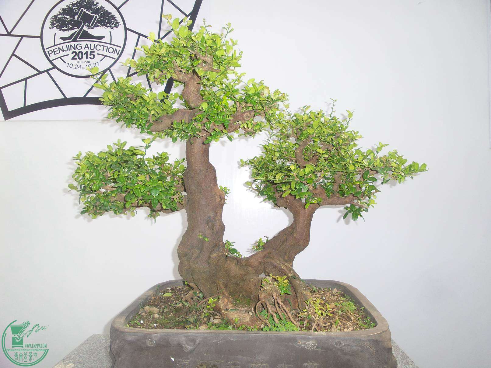 20151024_102807.jpg
