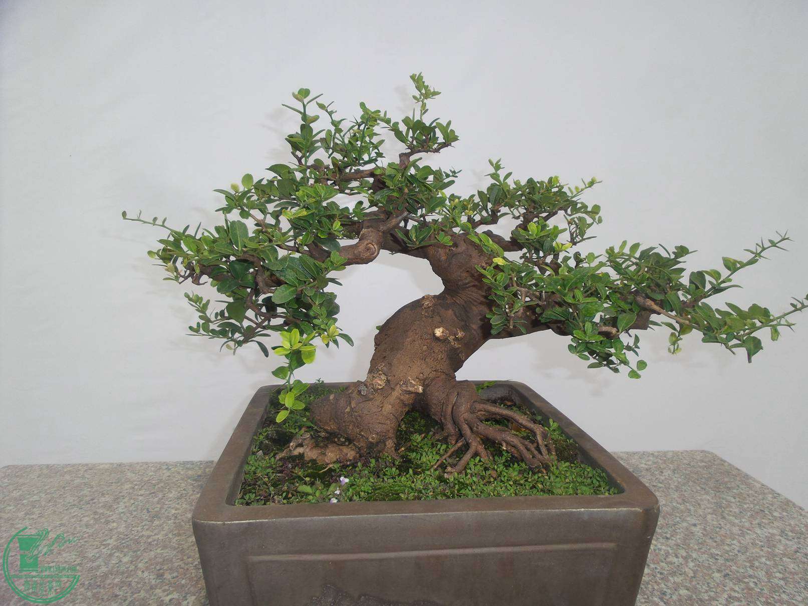 20151024_102849.jpg
