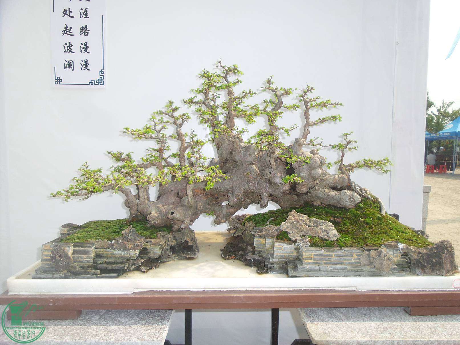 20151024_102917.jpg