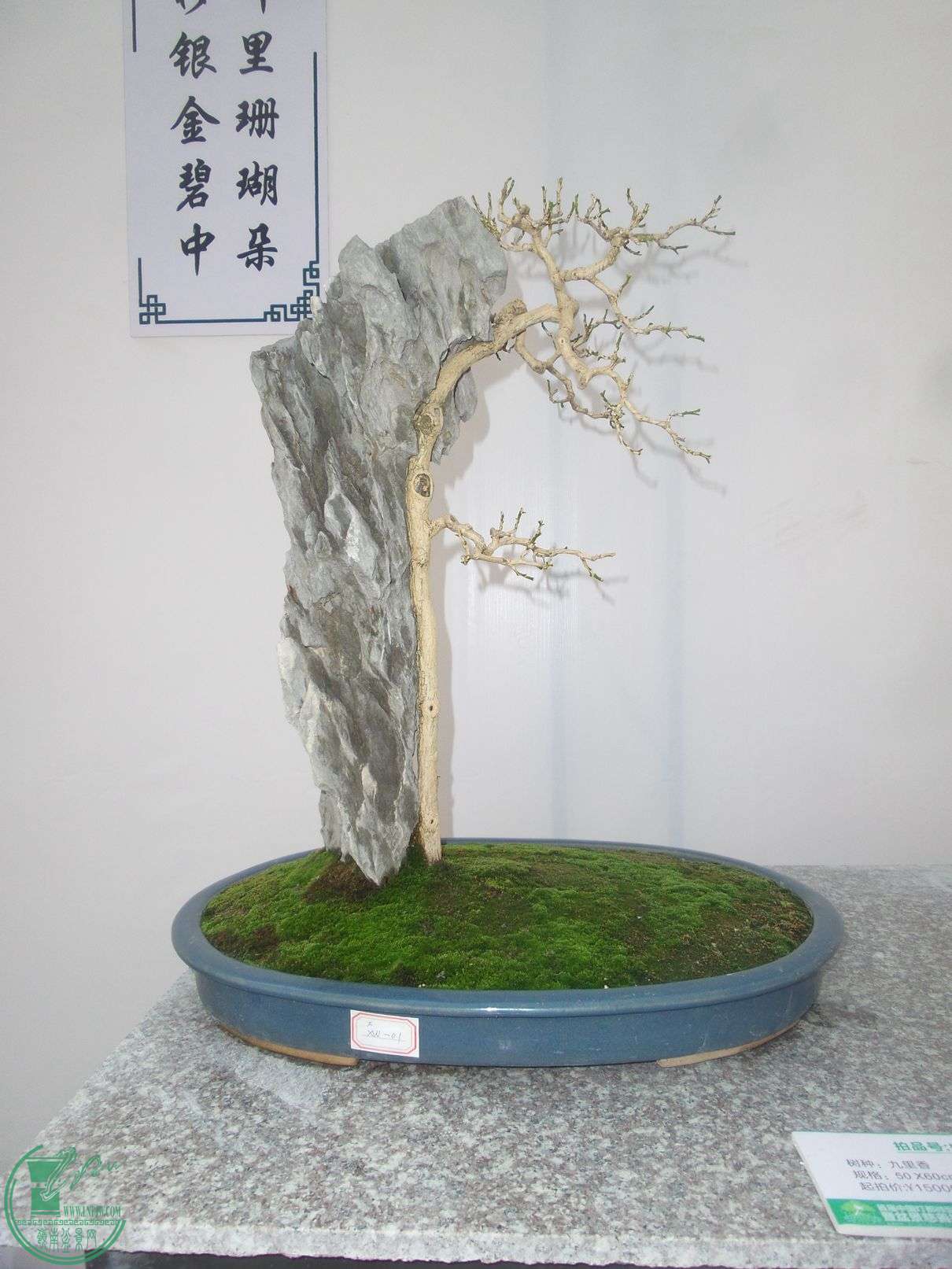 20151024_102956.jpg