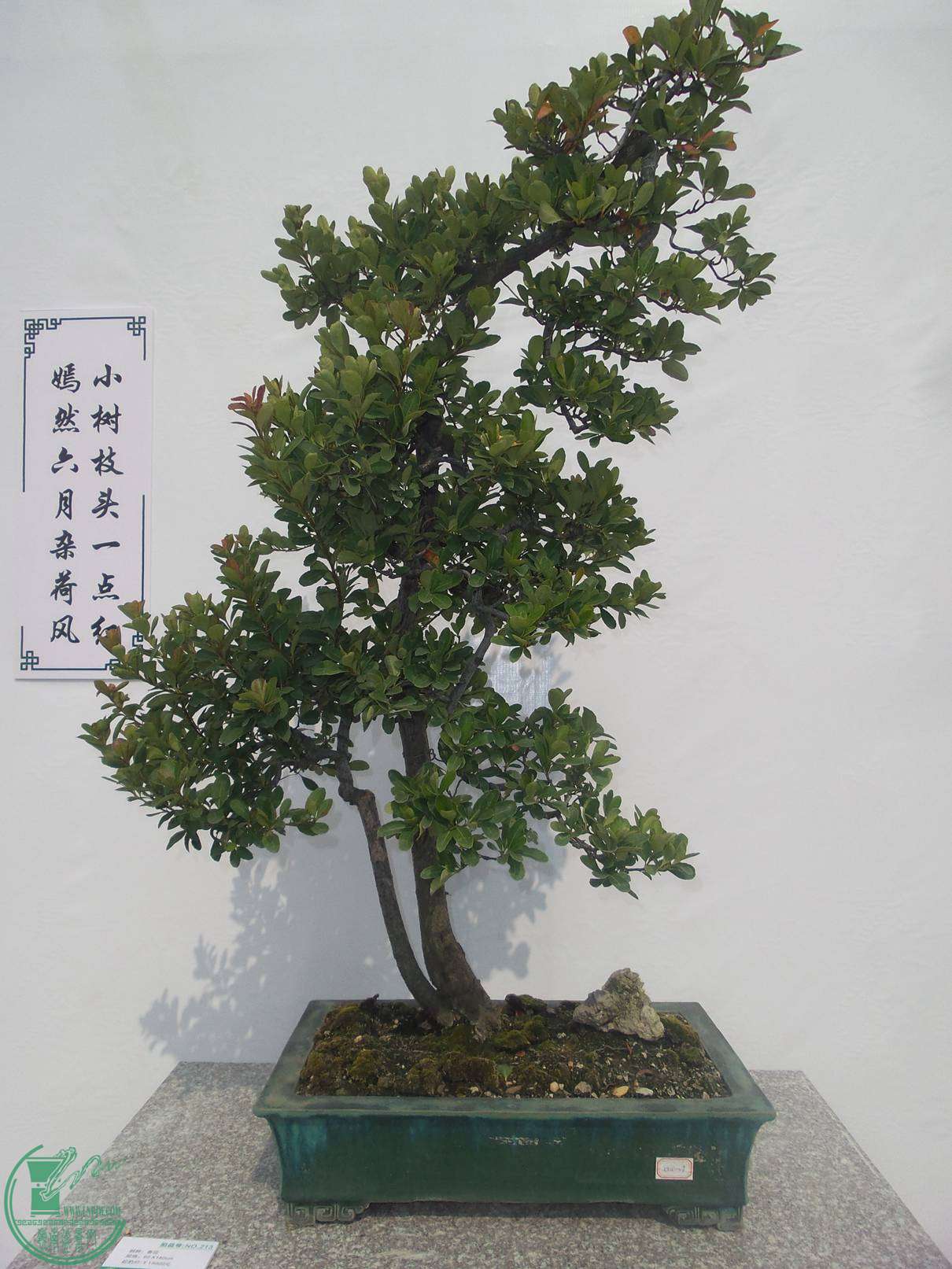 20151024_103014.jpg
