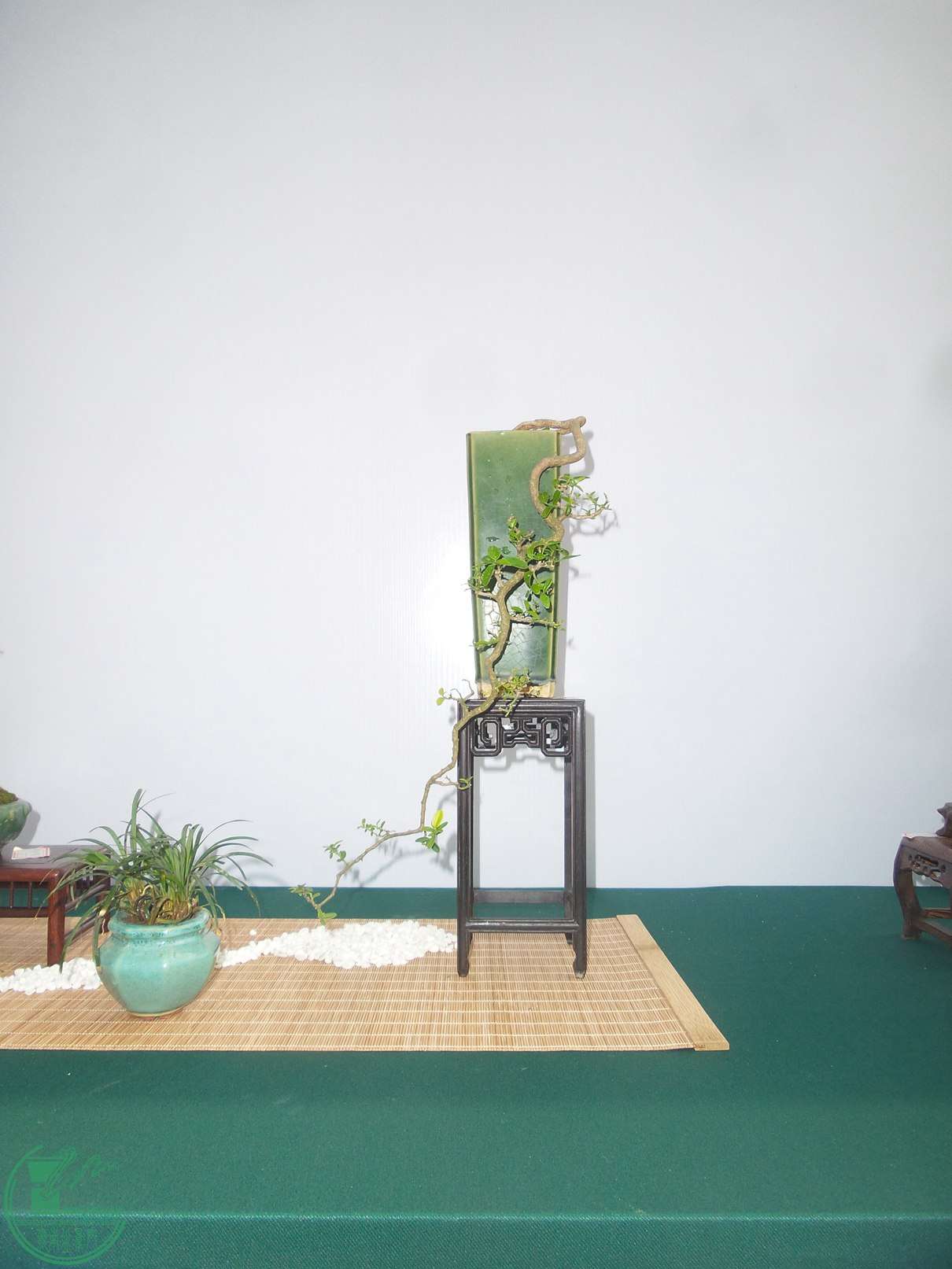 20151024_103124.jpg