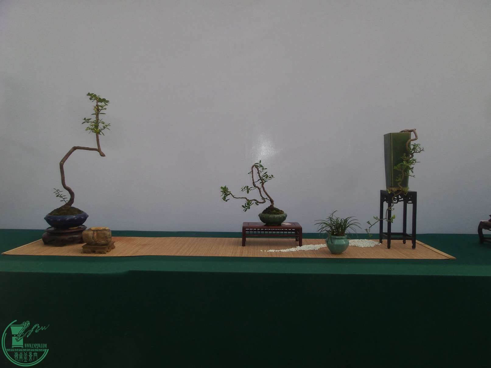 20151024_103132.jpg
