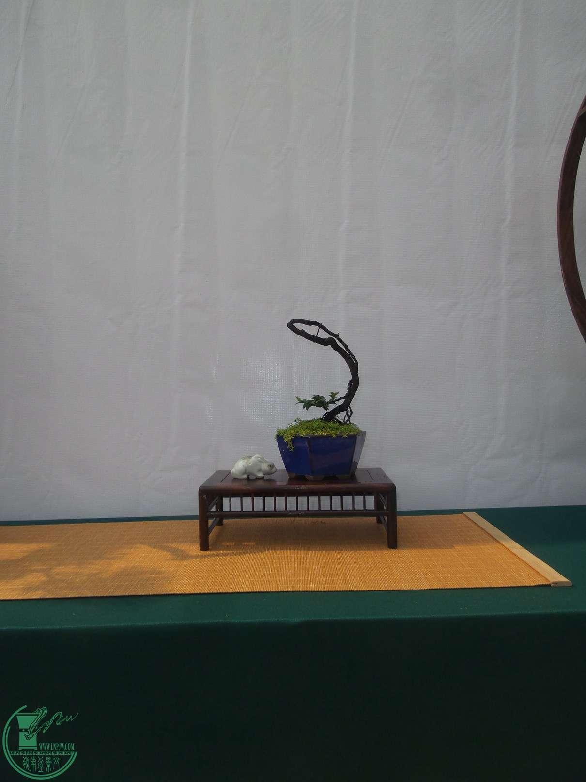 20151024_103237.jpg