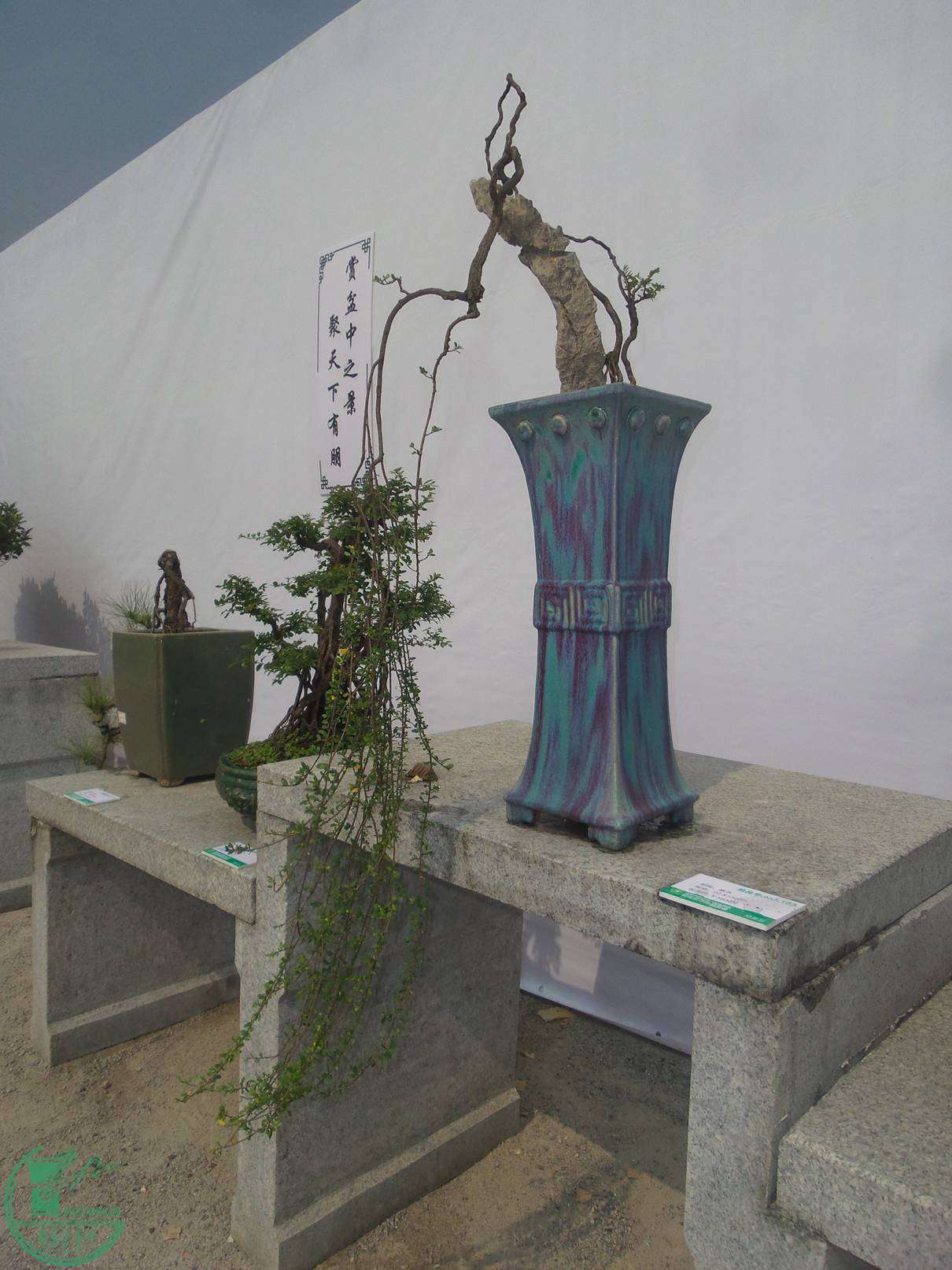 20151024_103259.jpg
