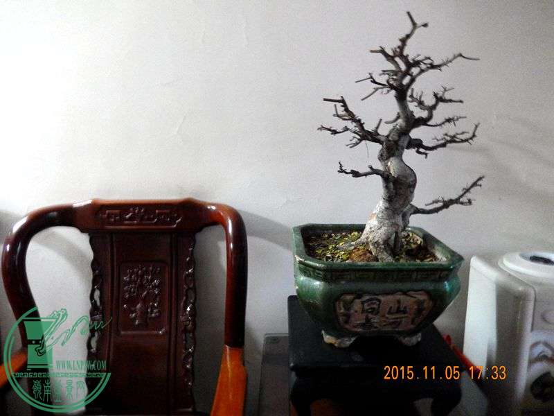 DSCN2978.JPG