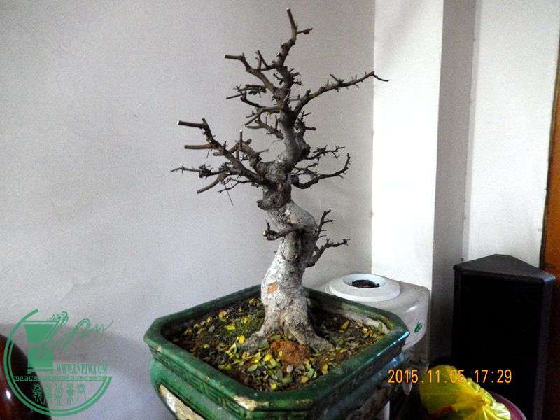 DSCN2974.JPG