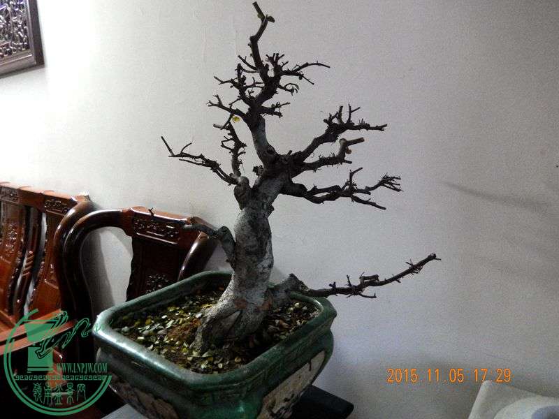 DSCN2975.JPG