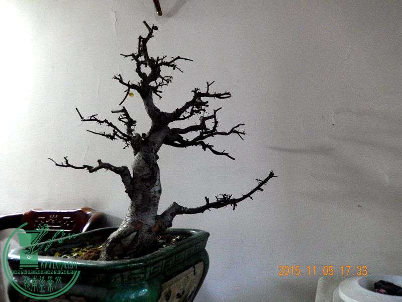 DSCN2977.JPG