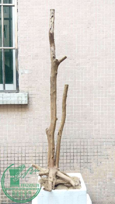 698449