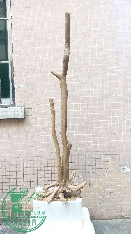 698451