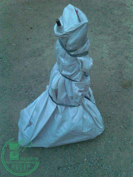  YP20151107174020.jpeg