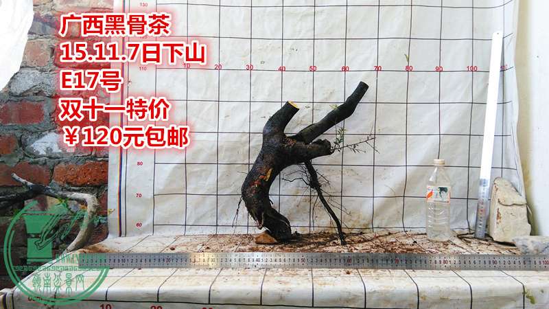 IMG_20151107_170900_.jpg