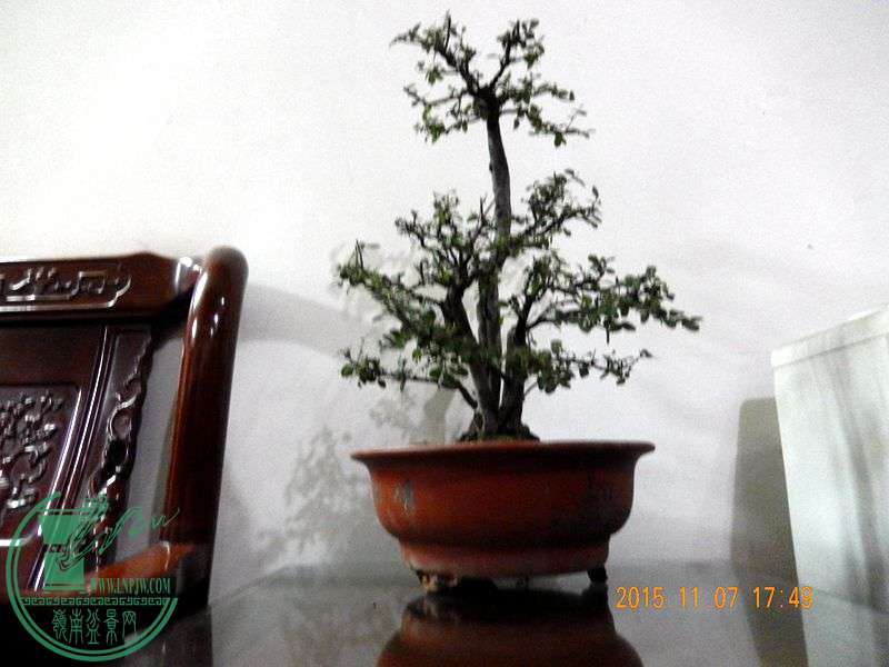 DSCN2984.JPG