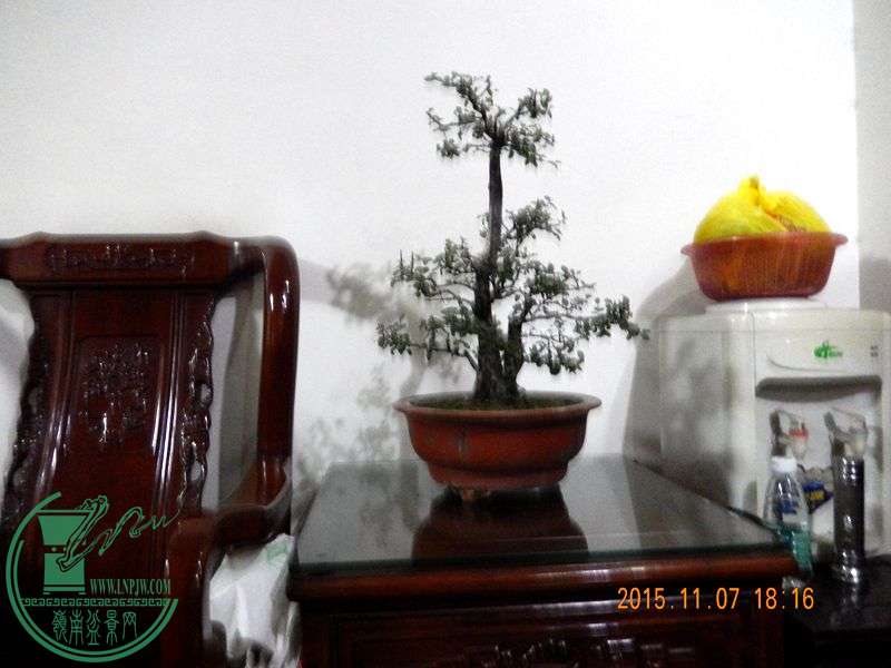 DSCN2985.JPG