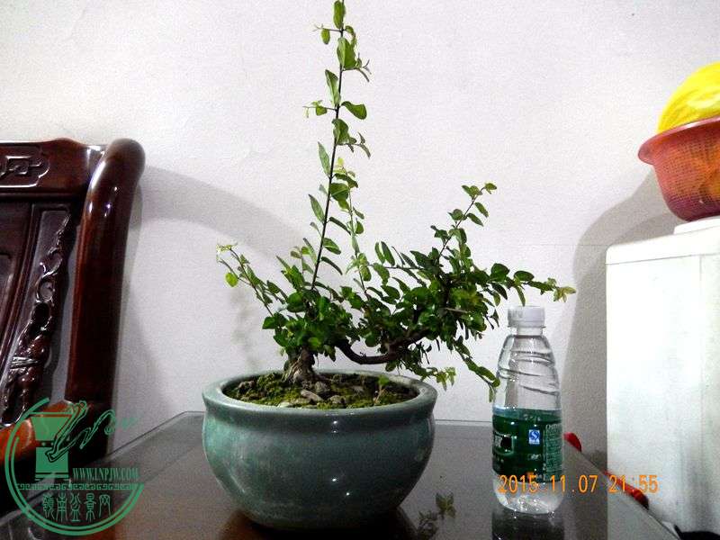 DSCN2988.JPG
