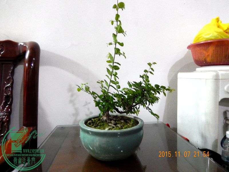 DSCN2986.JPG