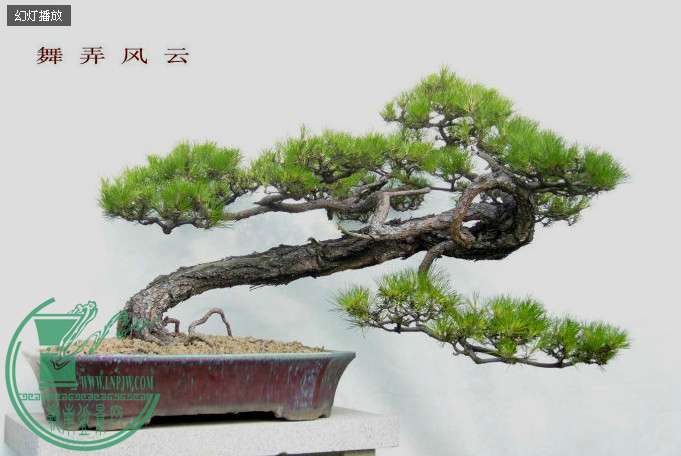 QQͼƬ20140415170145.jpg