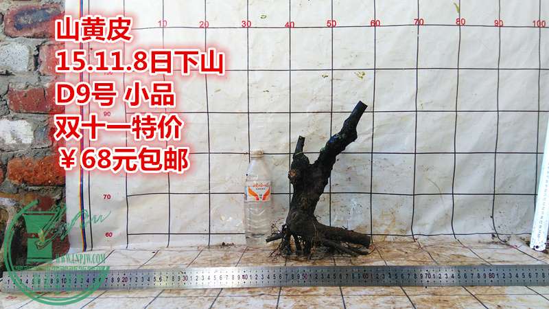 IMG_20151108_161010_.jpg