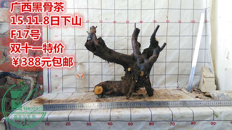 IMG_20151108_162436_.jpg