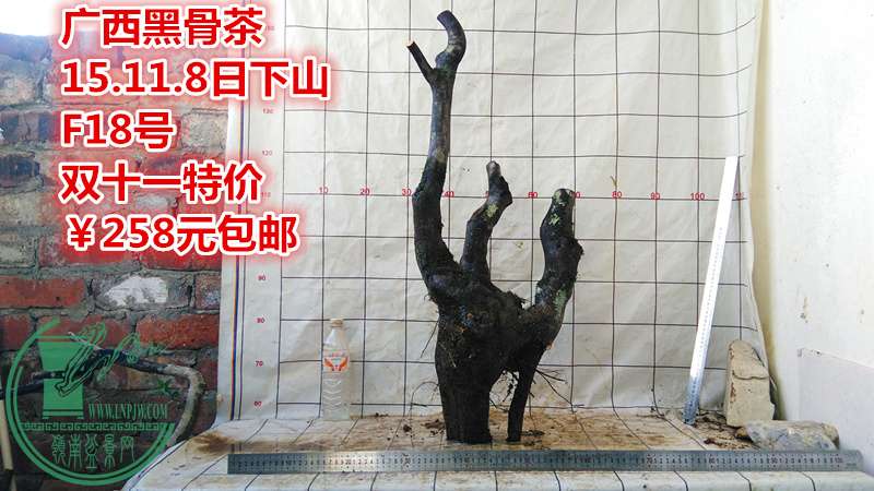 IMG_20151108_162732_.jpg