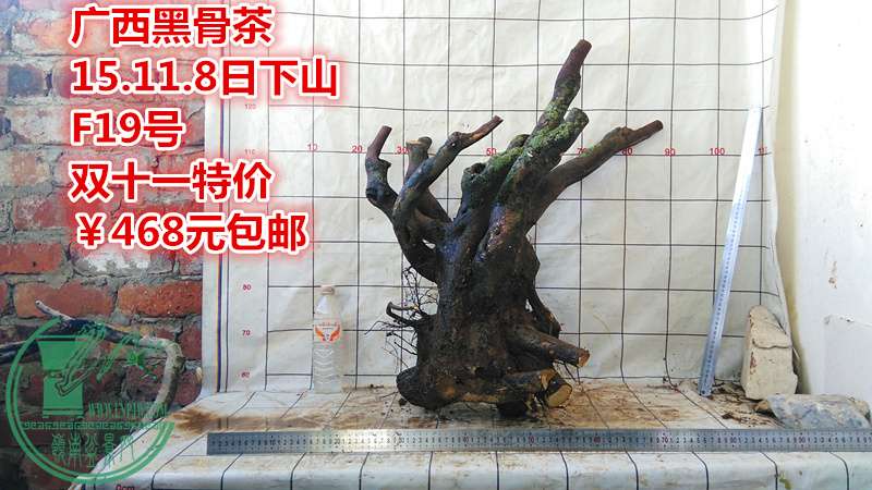 IMG_20151108_163021_.jpg