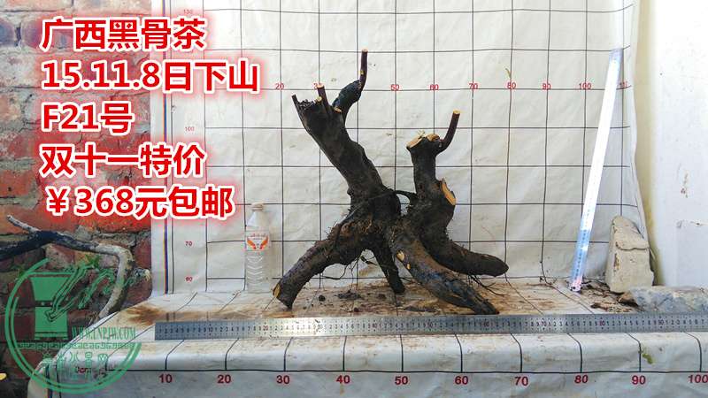 IMG_20151108_163410_.jpg