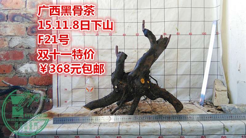IMG_20151108_163436_.jpg