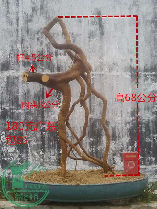 5_.jpg