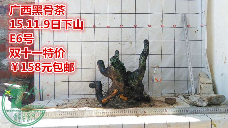 IMG_20151109_125203_.jpg
