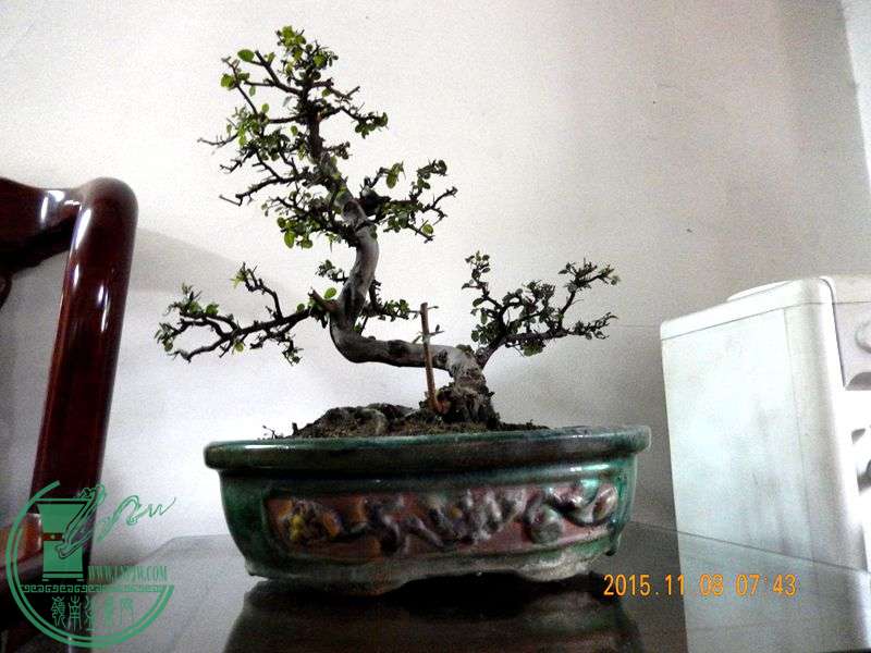 Ƭ 092_.jpg